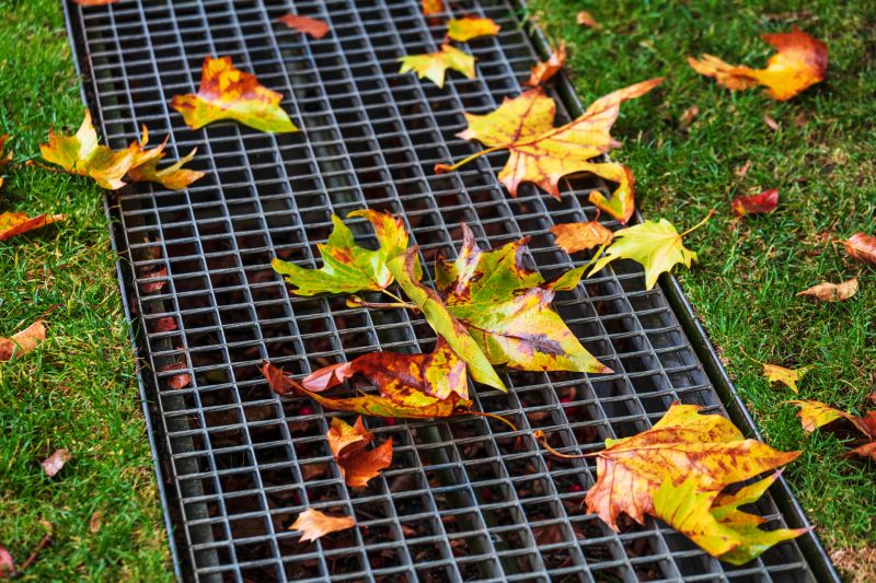 Fall Drain Maintenance